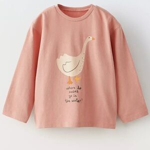 Zara bundle long sleeve tops 9-12M